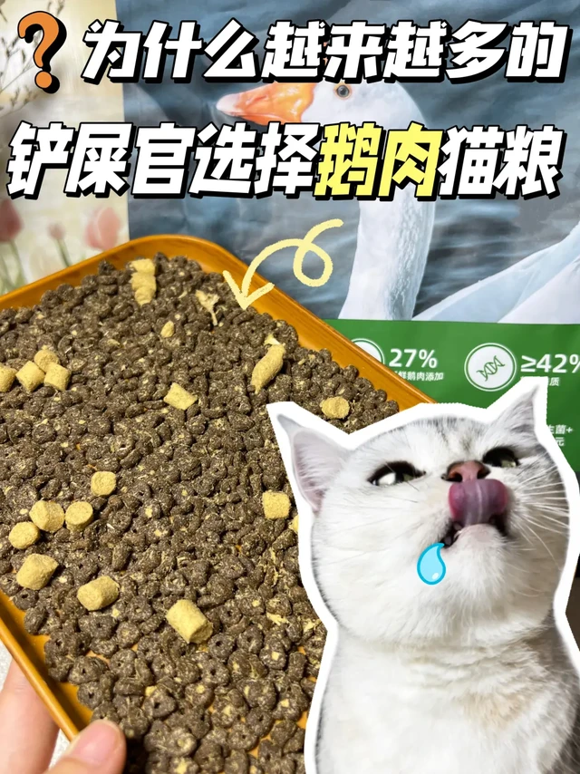 为什么越来越多铲屎官选择鹅肉猫粮？🤔