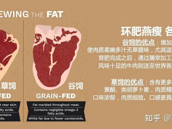 如何在淘宝网挑选真牛排?