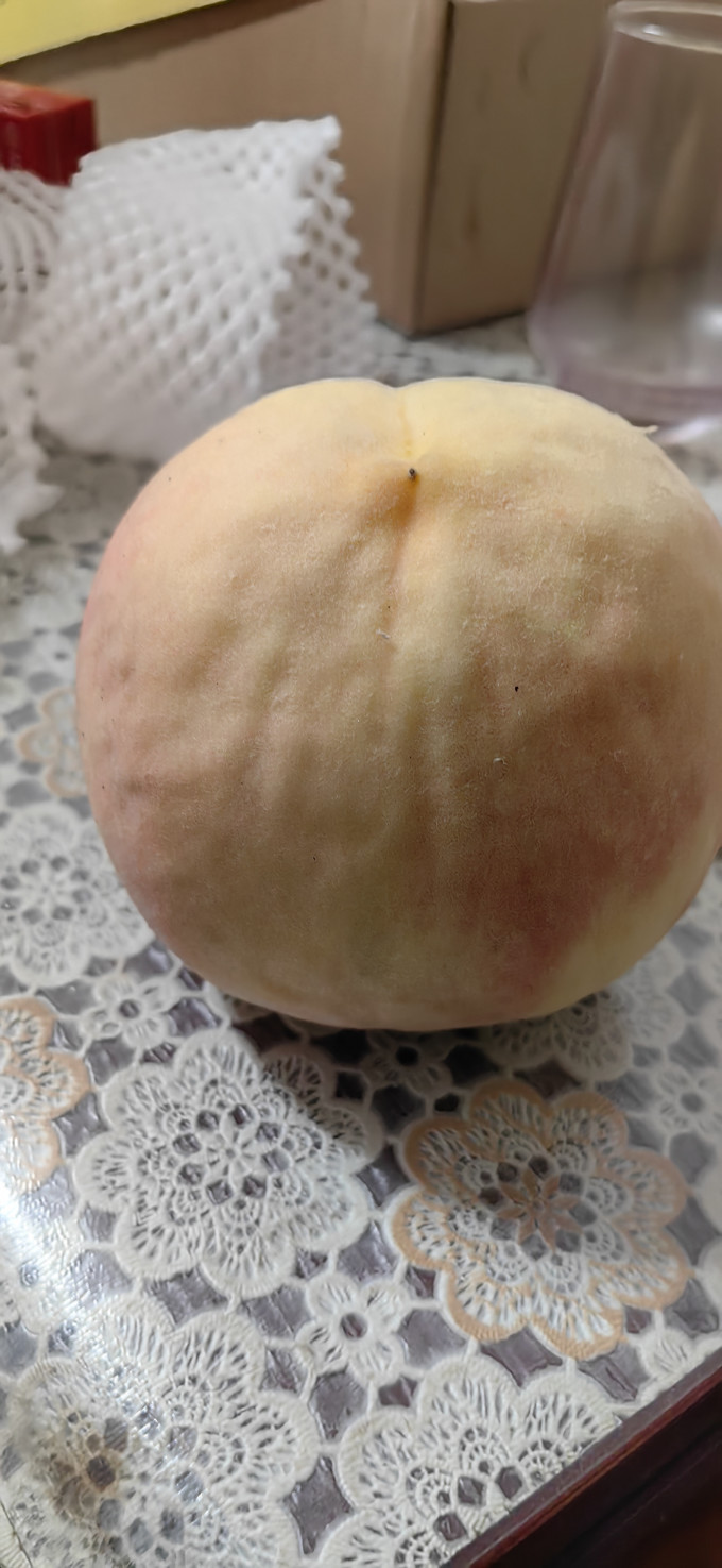 禹昂其他水果