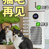 猫毛再见‼加湿+除毛，才是真实用