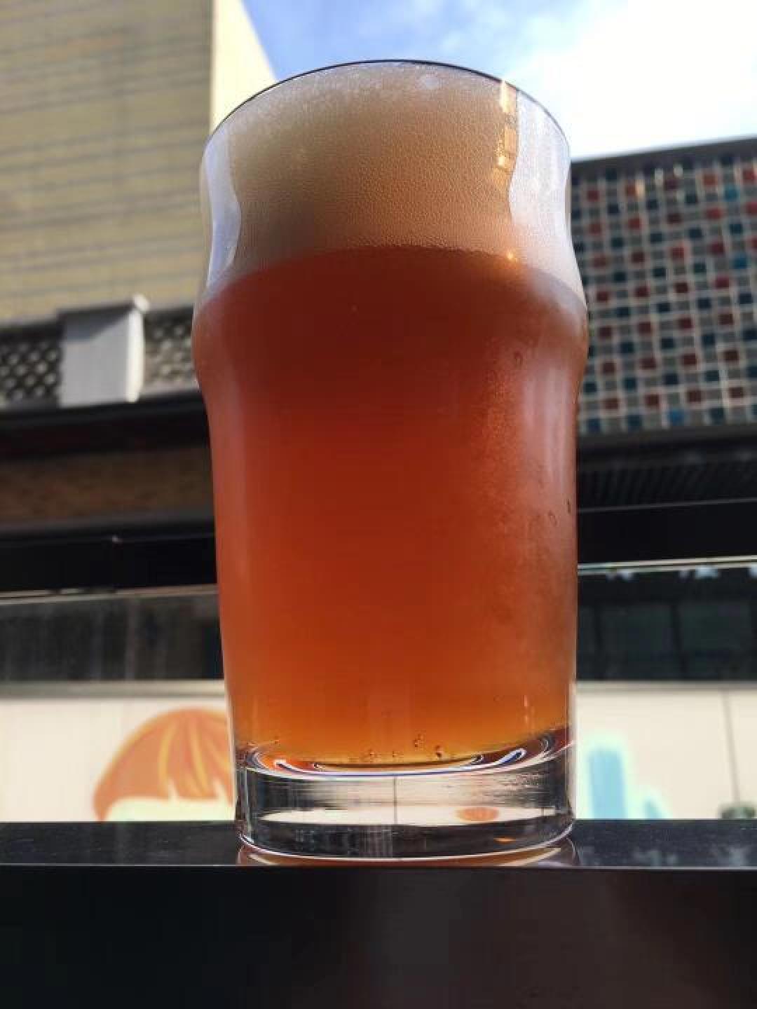 西海岸IPA与东海岸IPA,你爱哪一口?