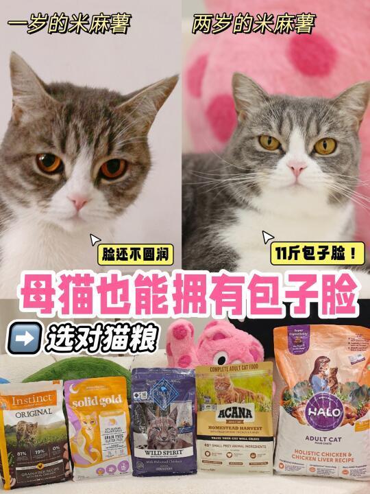 猫粮到底怎么选？5款进口猫粮测评贴