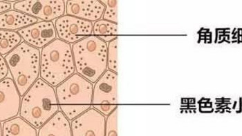 Dipeptide-1二肽-1|降低黑色素促进转录因子