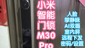 [抢跑]小米上新之小米智能门锁M30Pro。人脸+掌静脉+AI双摄+室内屏+远程下发密码和设置