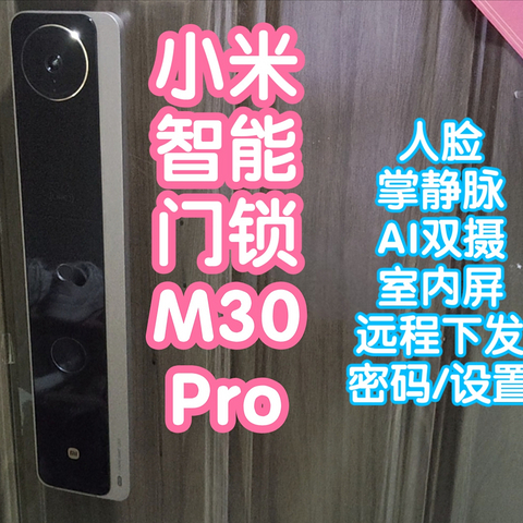 [抢跑]小米上新之小米智能门锁M30Pro。人脸+掌静脉+AI双摄+室内屏+远程下发密码和设置