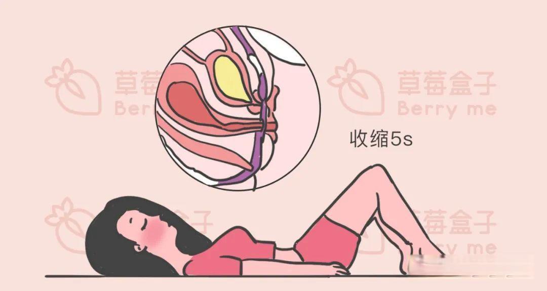 凯格尔运动：女性产后神器，男性健康新帮手！