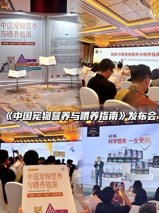 今天才知道的我的错误喂养理念