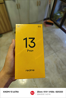 真我13 Pro+