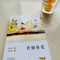 小学生经典文学《青铜葵花》