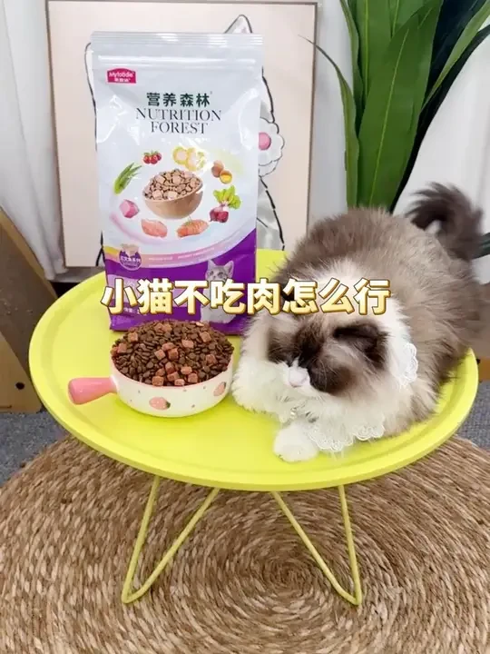 猫粮升级不加价，三文鱼冻干更大颗，小猫更爱炫！#猫粮推荐 #猫咪 #宠物食品 #新手养猫