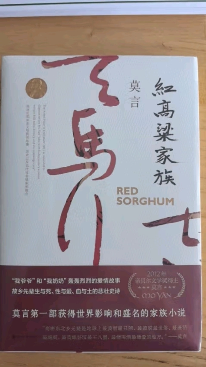 小说