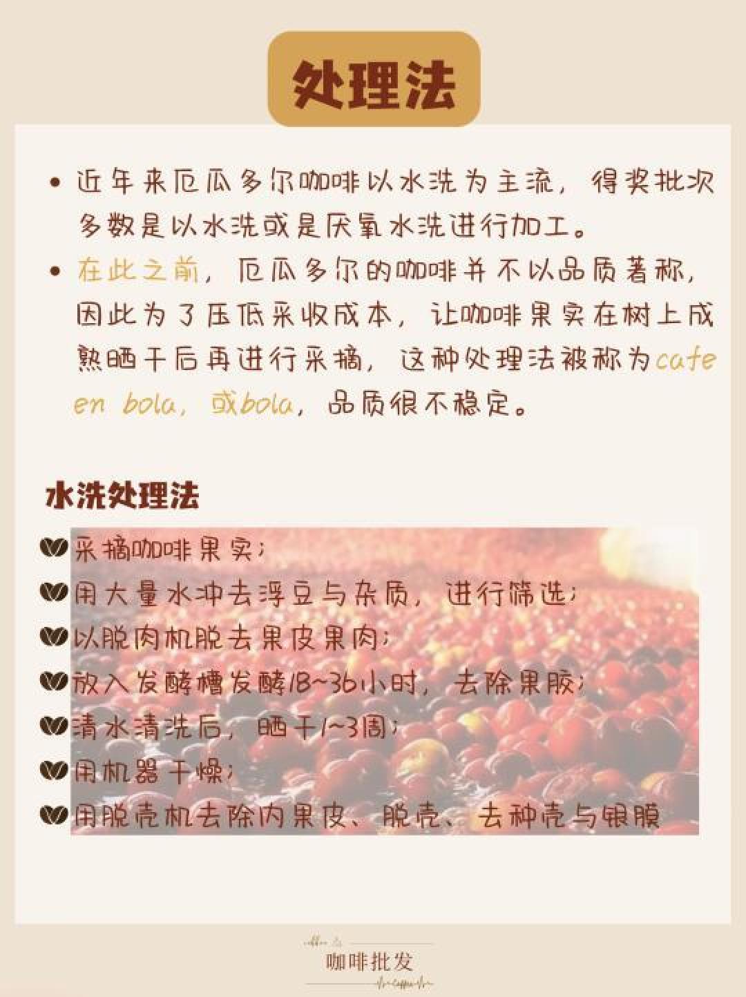 厄瓜多尔咖啡生产:品种、历史与未来展望