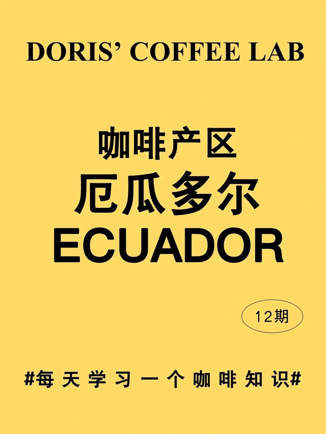 厄瓜多尔咖啡生产:品种、历史与未来展望
