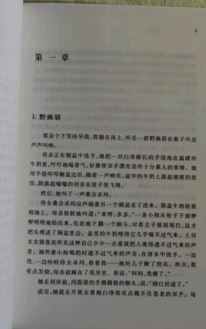 人民文学出版社小说