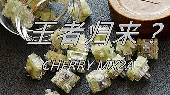 王者归来？丨CHERRY樱桃 MX2A速度银轴测评体验