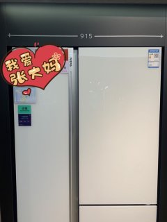 值得买首台西门子冰箱KT92AA320C