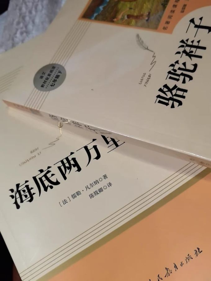 人民教育出版社小说