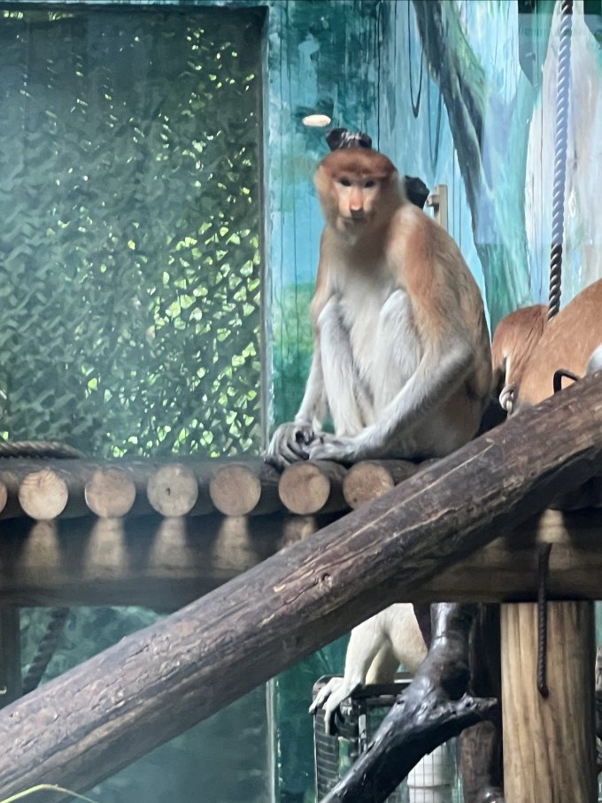长隆旅游票务