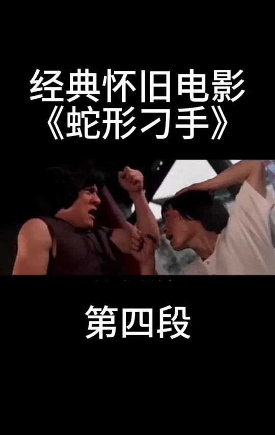 #动作武侠电影推荐 #抖音影视新热计划 #金典影视 #武打动作 #好剧推荐