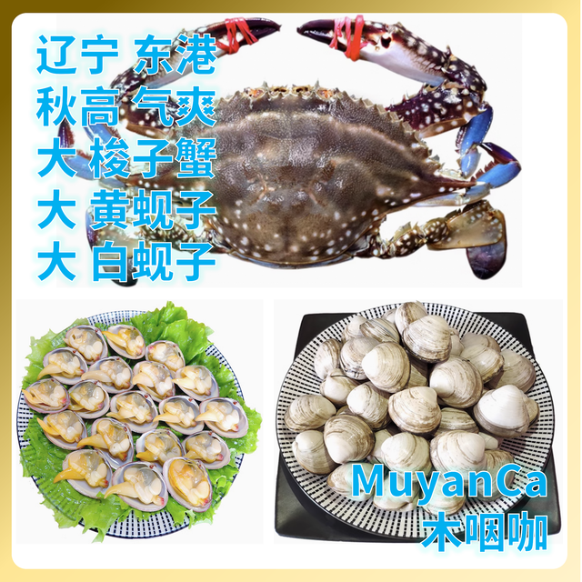 【吃吃喝喝】辽宁东港海鲜季 秋高气爽正式吃空黄海的好时候！