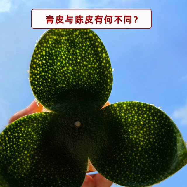 🍊 青皮与陈皮有何不同？ 🍹
