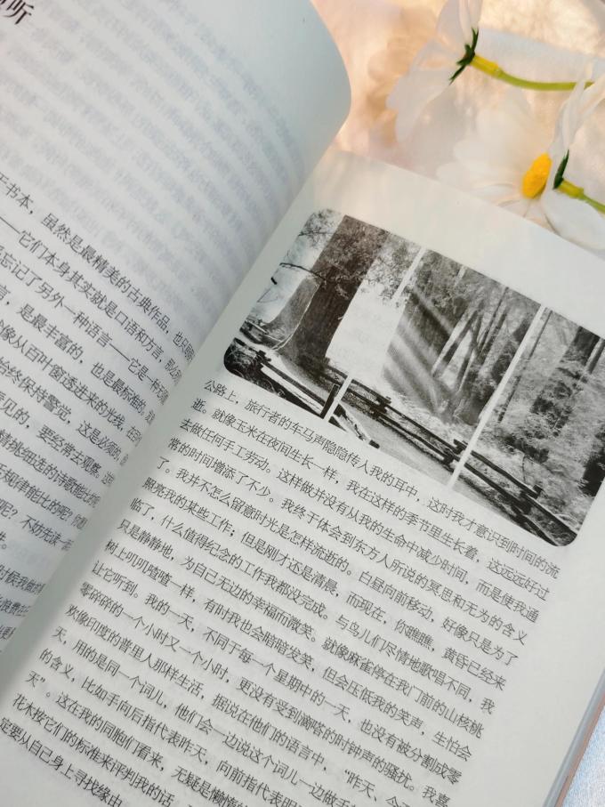 河北美术出版社小说