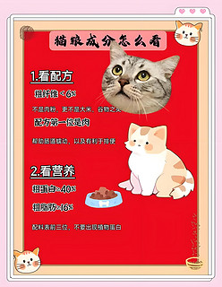 猫咪美食家：如何挑选最佳猫粮？