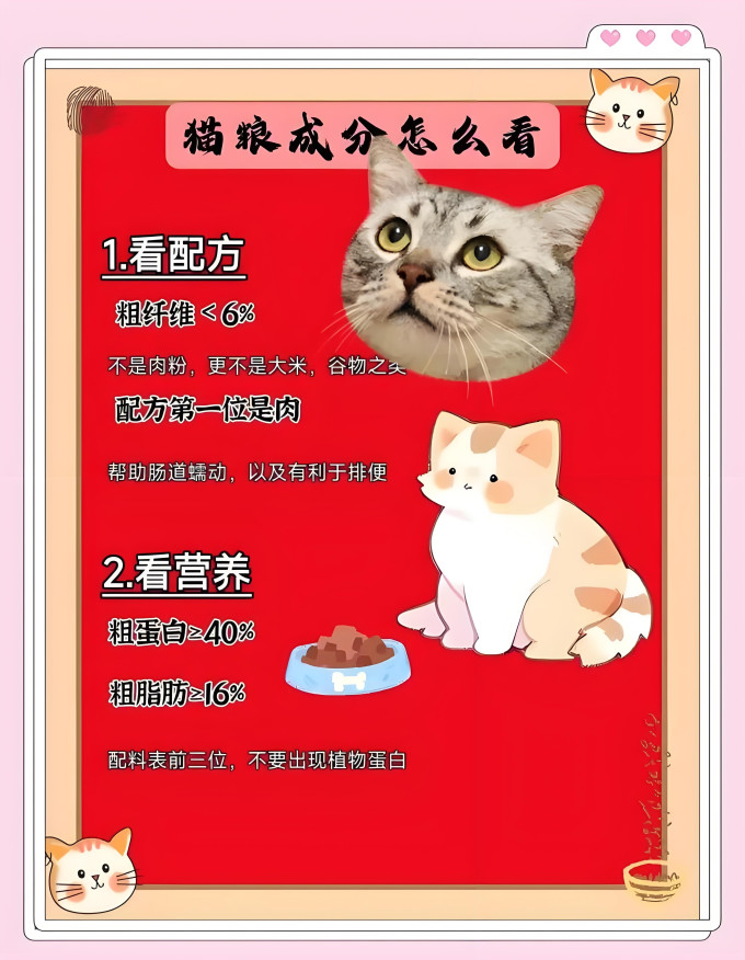 百利猫咪干粮