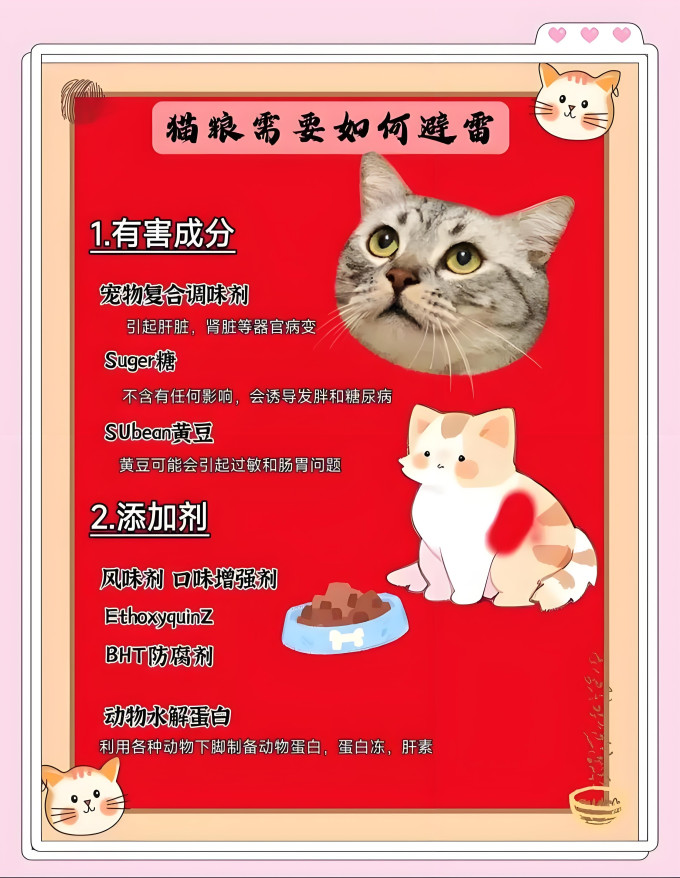百利猫咪干粮