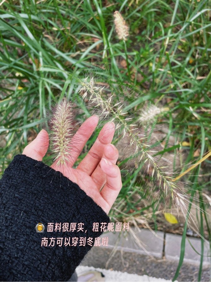 女士短外套