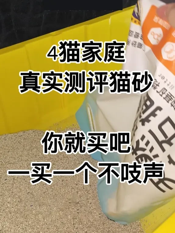 囧宝4猫家庭7天猫砂使用情况