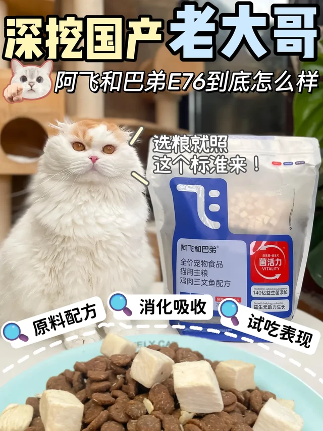 深挖国产老大哥,阿飞和巴弟E76到底怎么样?