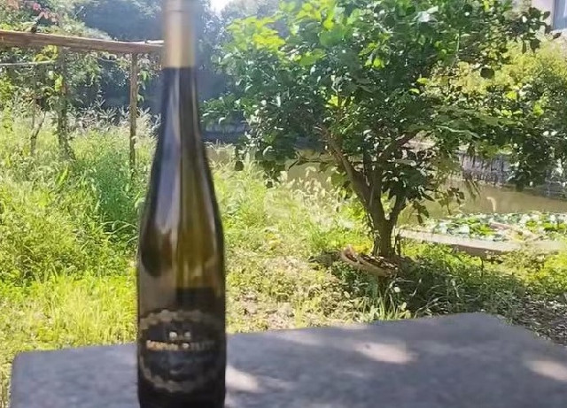 我愿称作甜酒的神