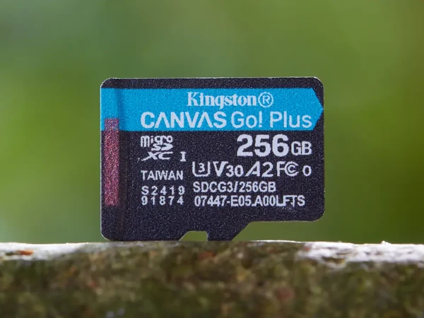 值得推荐的TF卡：金士顿/Kingston SDGC3