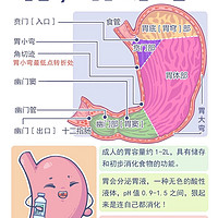 胃，你还好吗？