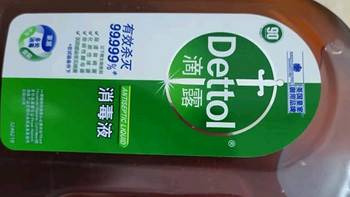 滴露（Dettol）衣物消毒液消毒水衣物除菌1.8L*2 洗衣家居宠物环境除螨杀菌