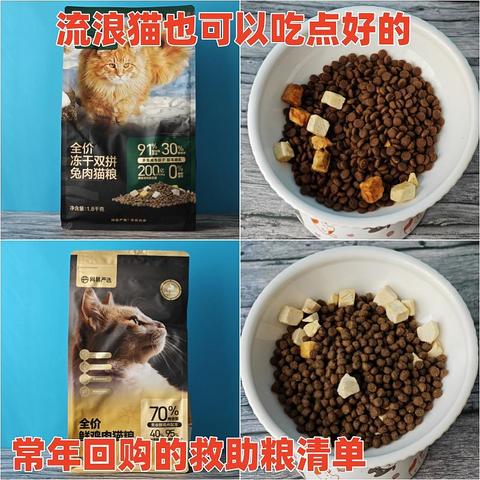 流浪猫也可以吃点好的——常年回购的救助粮清单