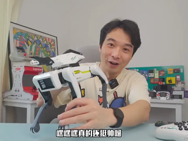 智障ai机械狗 #机器人教育 #儿童玩具 #机械狗 #ai狗