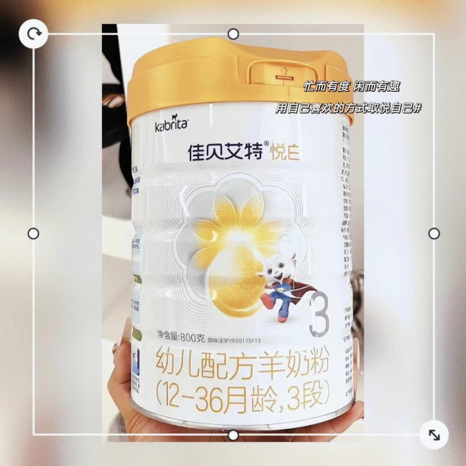 佳贝艾特羊奶粉