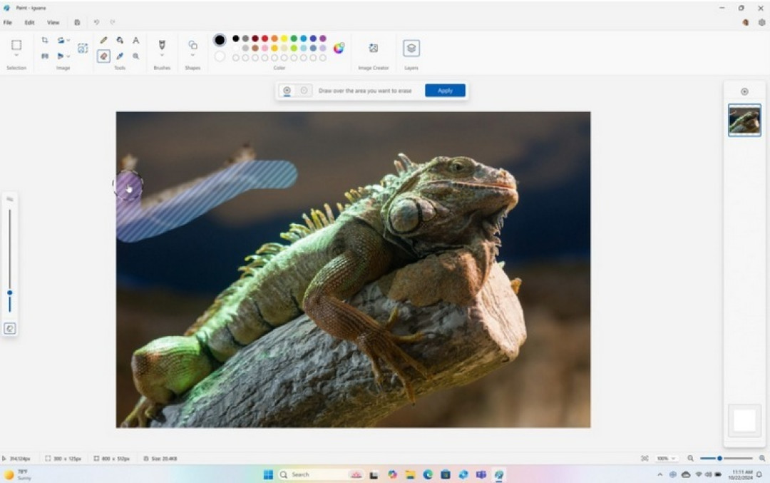微软推出 Windows 2024 大更新（24H2），支持WIFI7、增强搜索、画图、召回功能、更省电