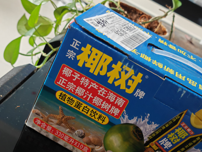 椰树乳饮料