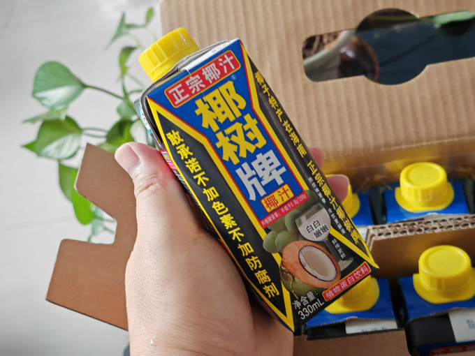 椰树乳饮料