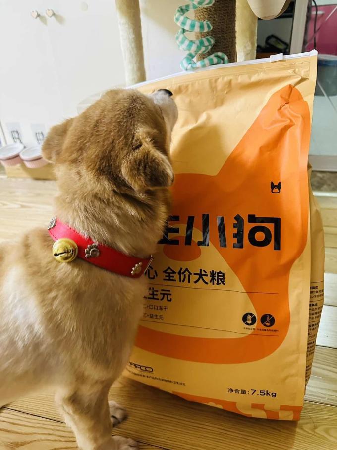 狗粮