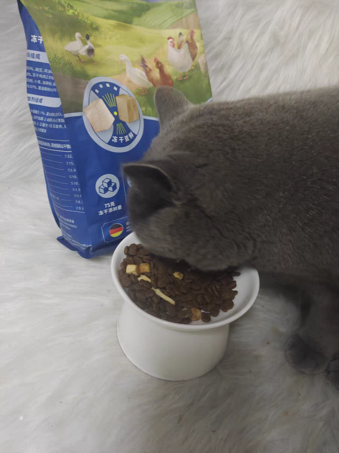 顽皮猫咪干粮