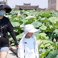 荷花仙子降临人间？揭秘那些不为人知的美丽瞬间