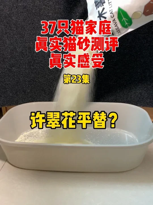 平替许翠花？真实自费猫砂测评，霍曼木薯猫砂 #猫砂 #猫砂测评 #萌宠好物 #银小喵