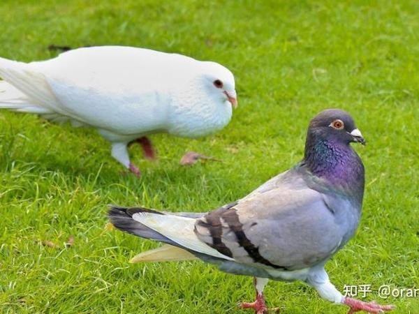 马上就要去英国留学了，生活上有什么要注意的？