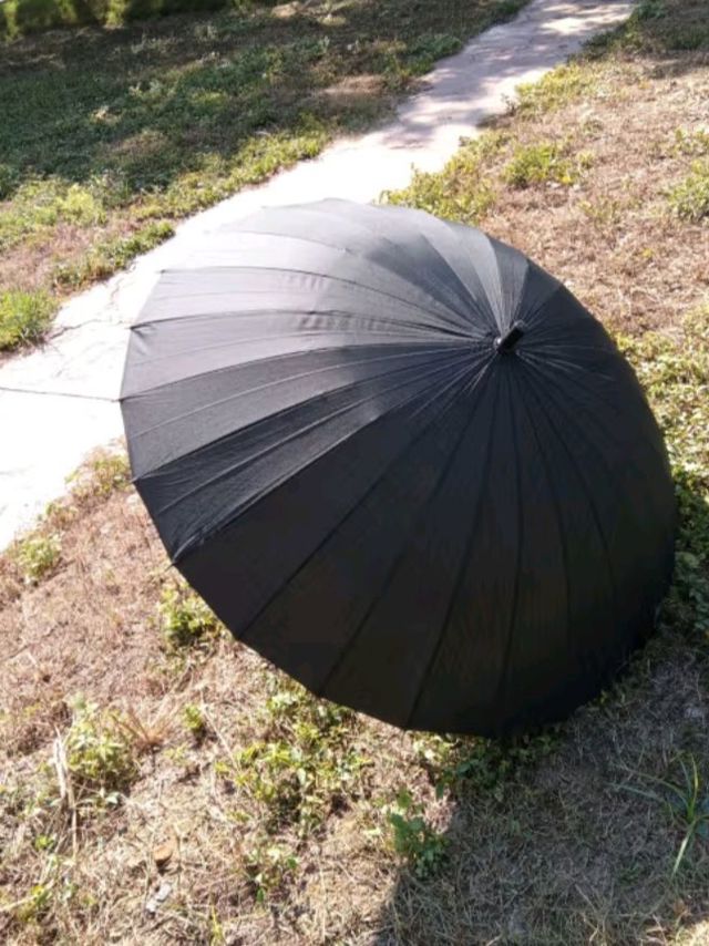 一把伞，挡得住风雨吗？