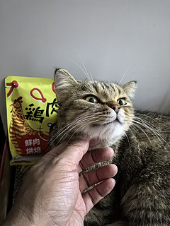 最宠的这个低温烘焙猫粮家里猫猫挺喜欢