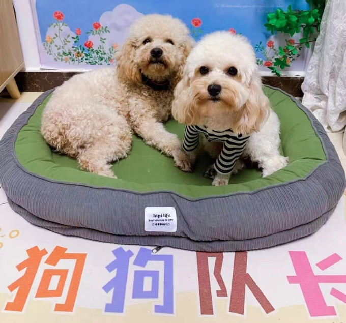 嬉皮狗猫笼/猫别墅